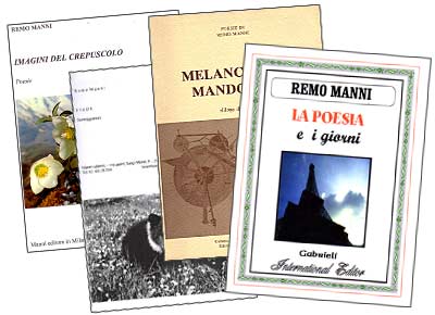 Alcune delle opere di Remo Manni